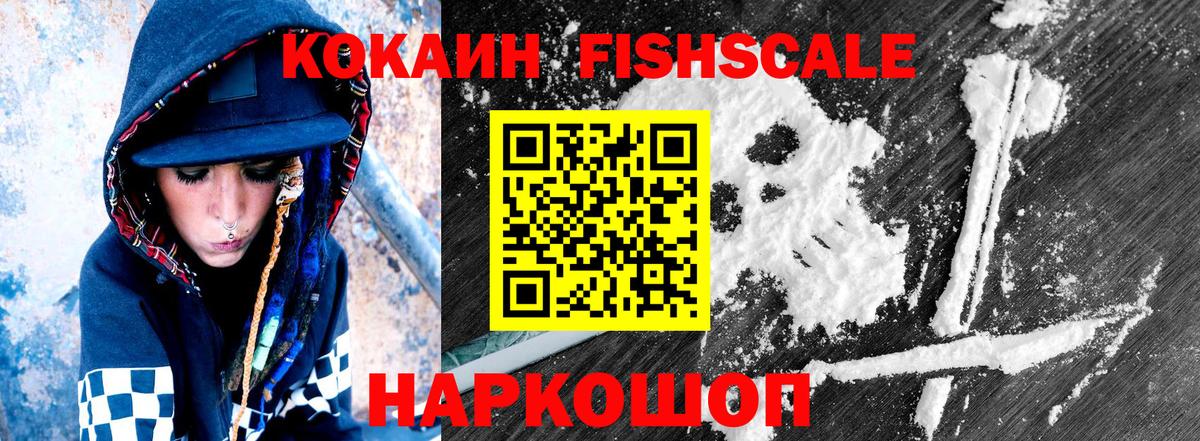 Зеленогорск  Cocaine Fish Scale  Вход с VPN  Кокаин Columbia 